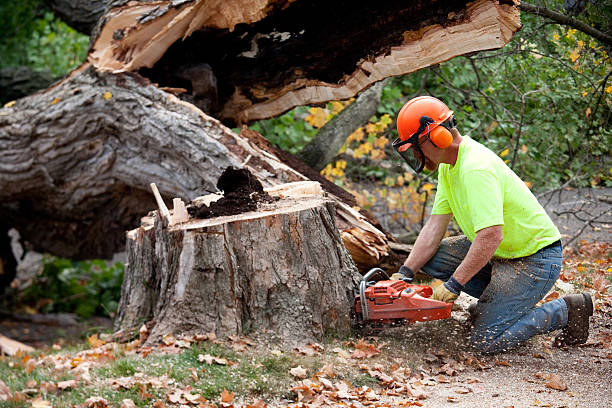 Mulching Services in Custer, SD